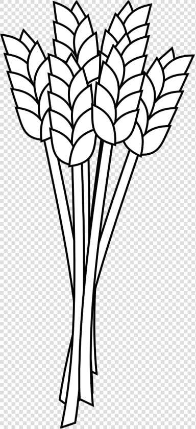 Wheat Plant Drawing   Wheat Clipart Black And White  HD Png DownloadTransparent PNG