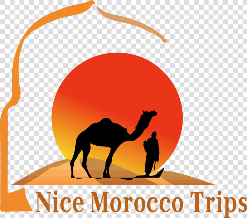 Arabian Camel Clipart   Png Download   Arabian Camel  Transparent PngTransparent PNG