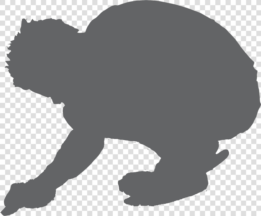 Man Crouch Grey   Man Crouched Down  HD Png DownloadTransparent PNG