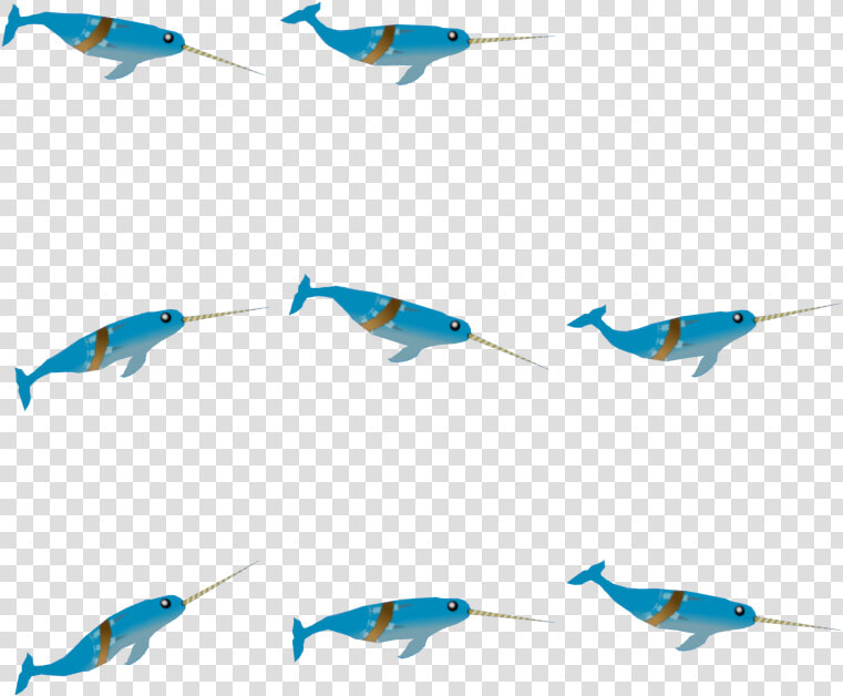 Narwhal   Marlin  HD Png DownloadTransparent PNG