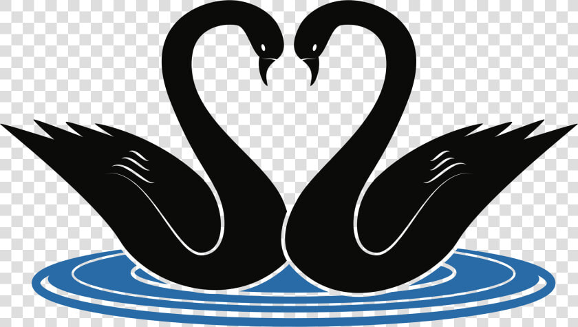 Swan Vector Png   Swans Clipart  Transparent PngTransparent PNG