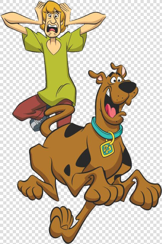 Shaggy Rogers Png Free Pic   What  39 s Your Favorite Cartoon  Transparent PngTransparent PNG