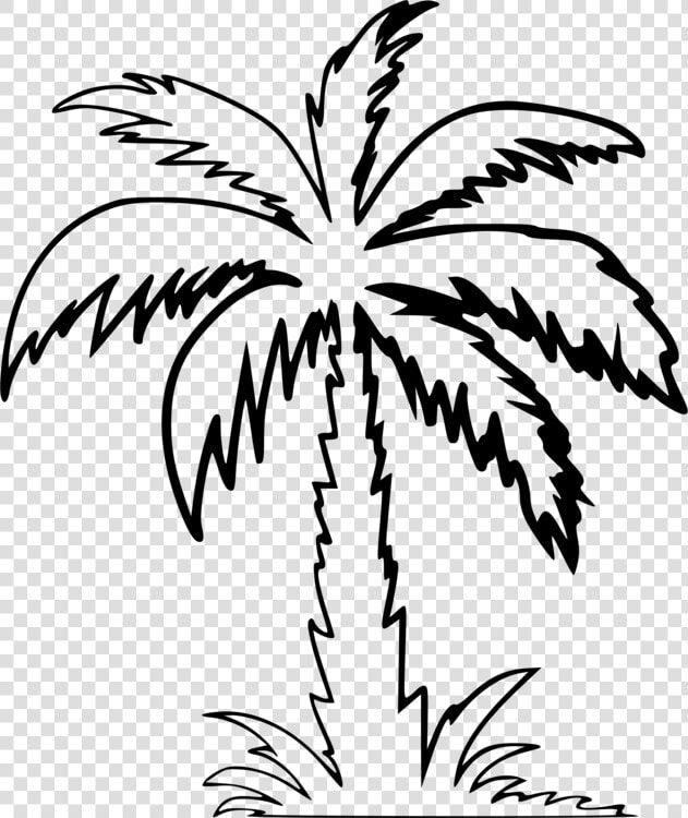 Symmetry monochrome Photography flowering Plant   Palm Tree Clipart Outline  HD Png DownloadTransparent PNG