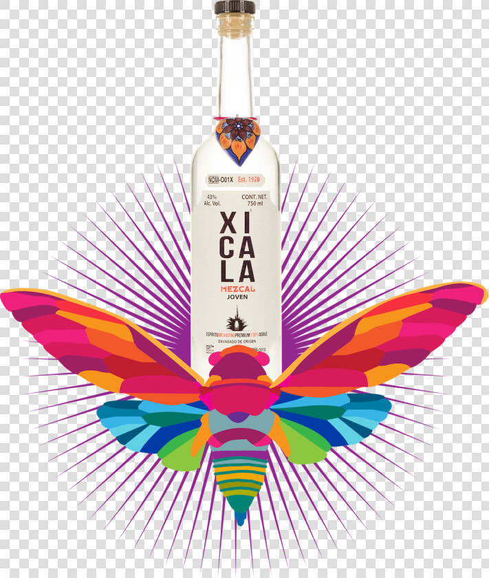 Xicala Mezcal  HD Png DownloadTransparent PNG