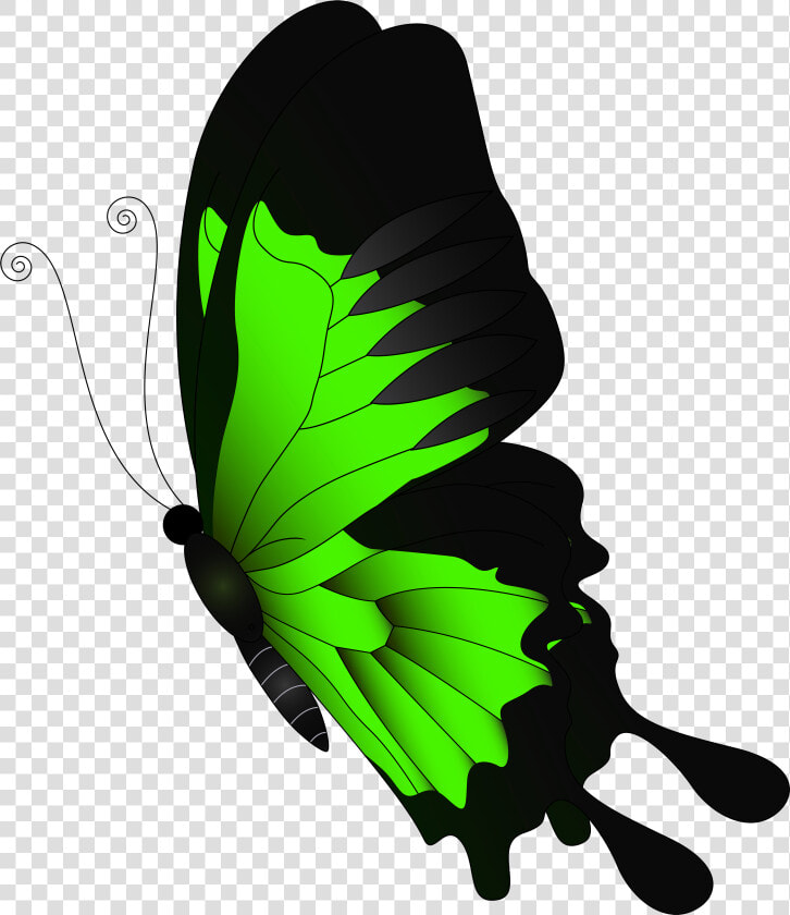 Green Flying Butterfly Png   Red Butterfly Png Transparent  Png DownloadTransparent PNG