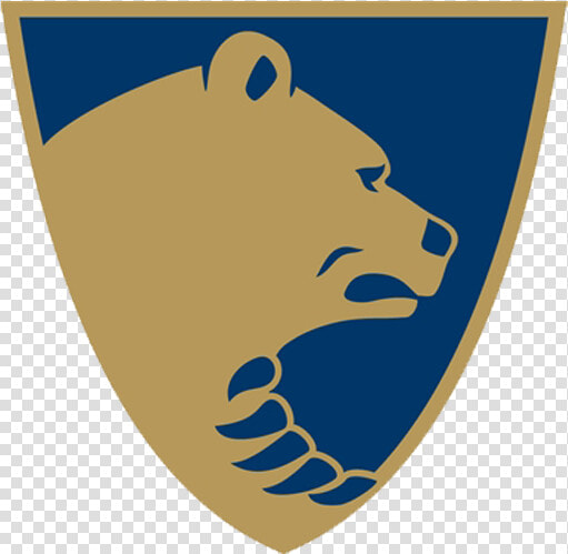 Bruins Logo Png  Transparent PngTransparent PNG