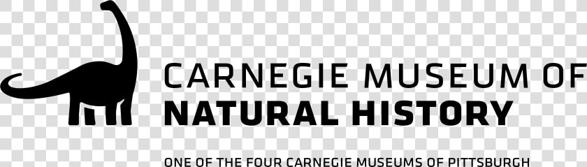 Carnegie Museum Of Natural History Logo  HD Png DownloadTransparent PNG