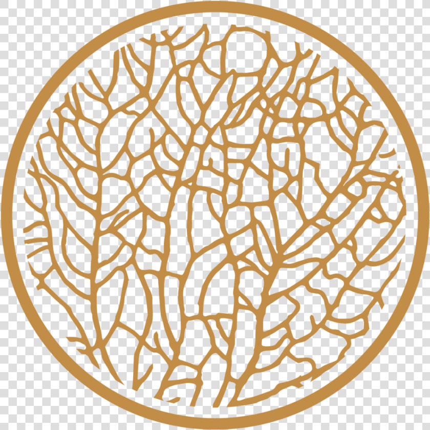 Tumbleweed Logo Favicon Ochre  HD Png DownloadTransparent PNG