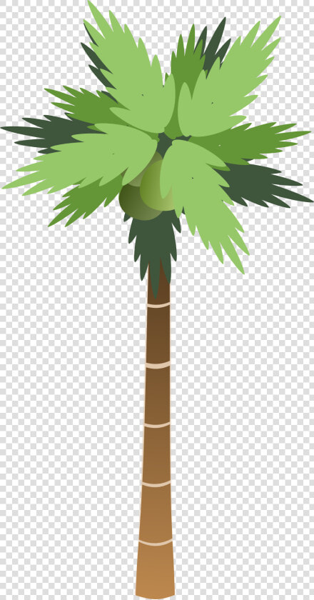 Palm Tree Png   Ascending And Descending Numbers  Transparent PngTransparent PNG