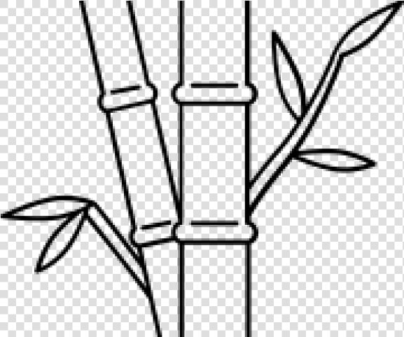 Drawn Bamboo Bamboo Stick   Line Art  HD Png DownloadTransparent PNG