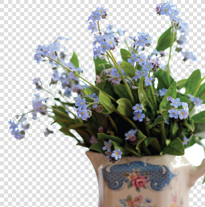 Forget Me Not Png Pic   Forget Me Not  png  Transparent PngTransparent PNG