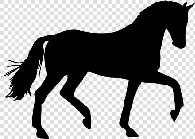 Dressage Horse Crafts Dressage Horses  Horses  Horse   Horse Silhouette Clipart Png  Transparent PngTransparent PNG