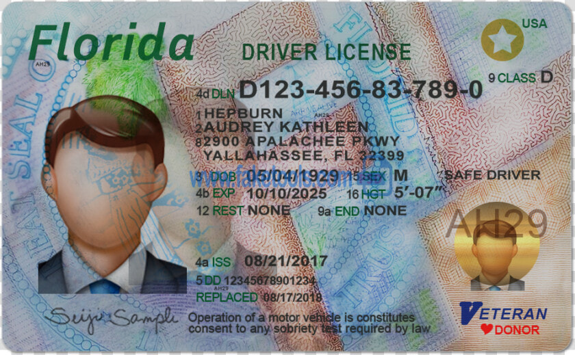 Florida Driver License Psd Template   Florida Drivers License Psd  HD Png DownloadTransparent PNG