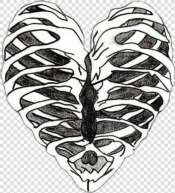 Bones Drawing Heart   Skeleton Heart Drawing  HD Png DownloadTransparent PNG