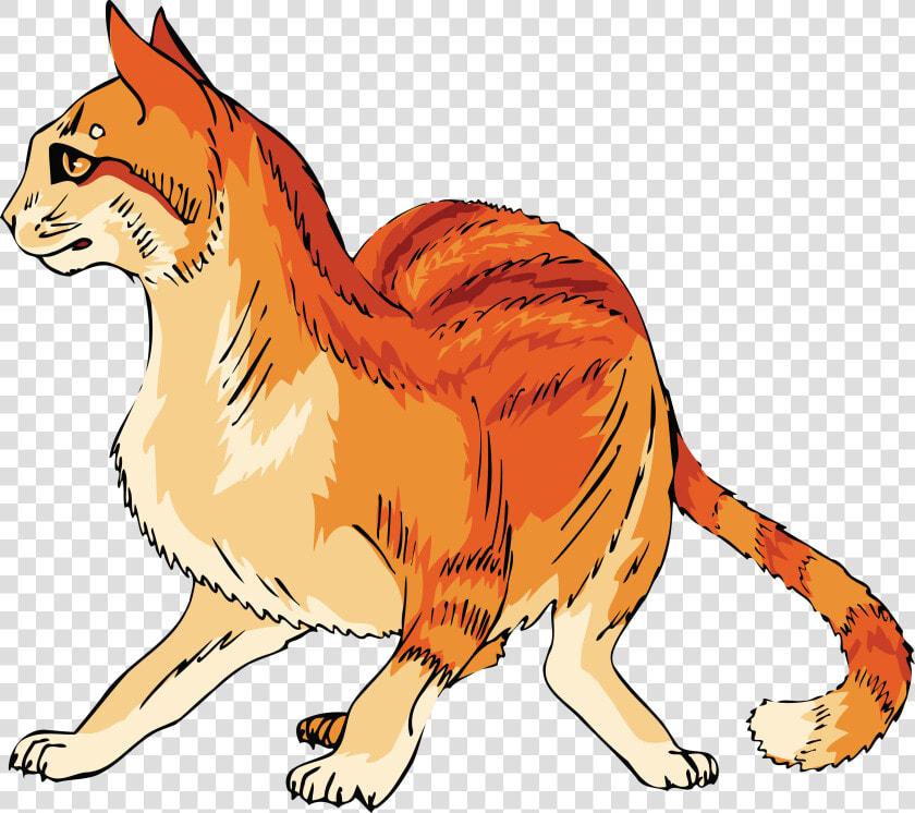 Free Clipart Of A Scared Orange Cat Cat    Mango Shaped Space Cat Colrs  HD Png DownloadTransparent PNG