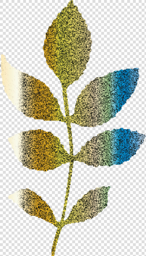 Glitter Golden Elegant Wedding Branch And Leafs Example   Pond Pine  HD Png DownloadTransparent PNG