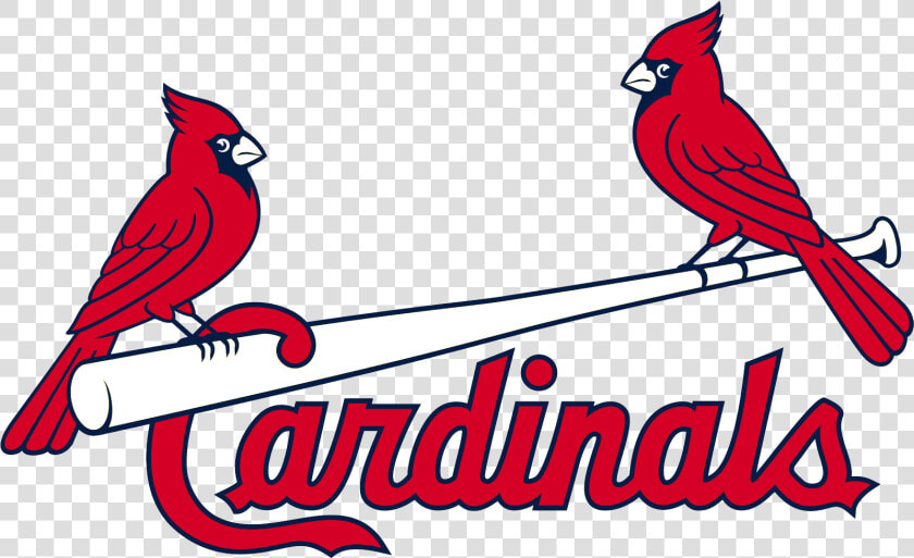 Free Cardinal Png   St Louis Cardinals Png  Transparent PngTransparent PNG