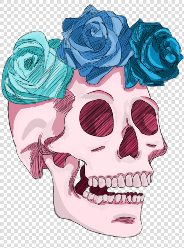 Transparent Skull And Roses Png   Skull Rose Drawing Transparent  Png DownloadTransparent PNG