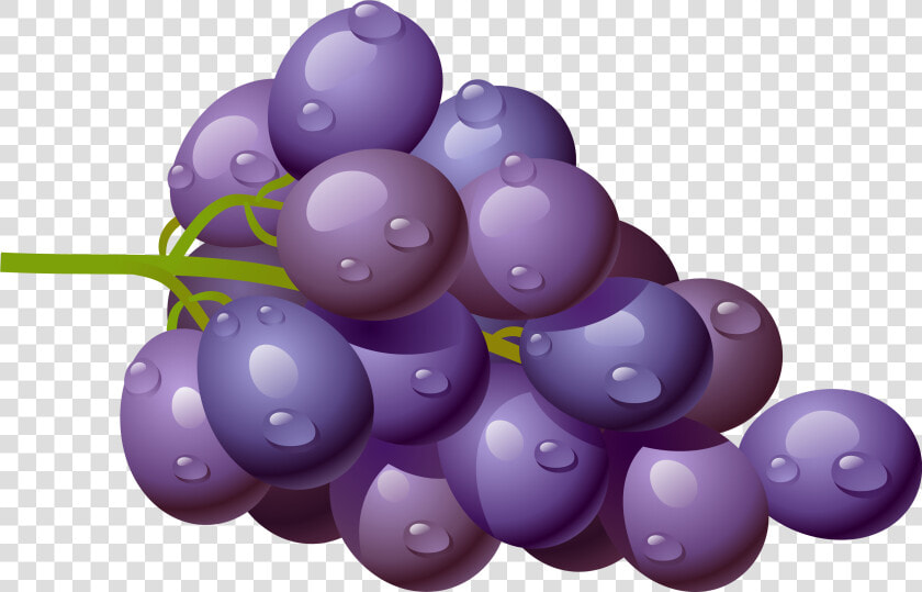 Grapes Grape Download Fruit Clip Art Free Clipart Of   Purple Grapes Clipart Png  Transparent PngTransparent PNG