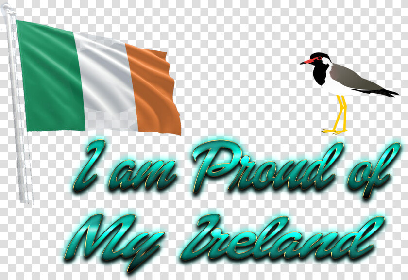 Ireland Flag Png   Seabird  Transparent PngTransparent PNG