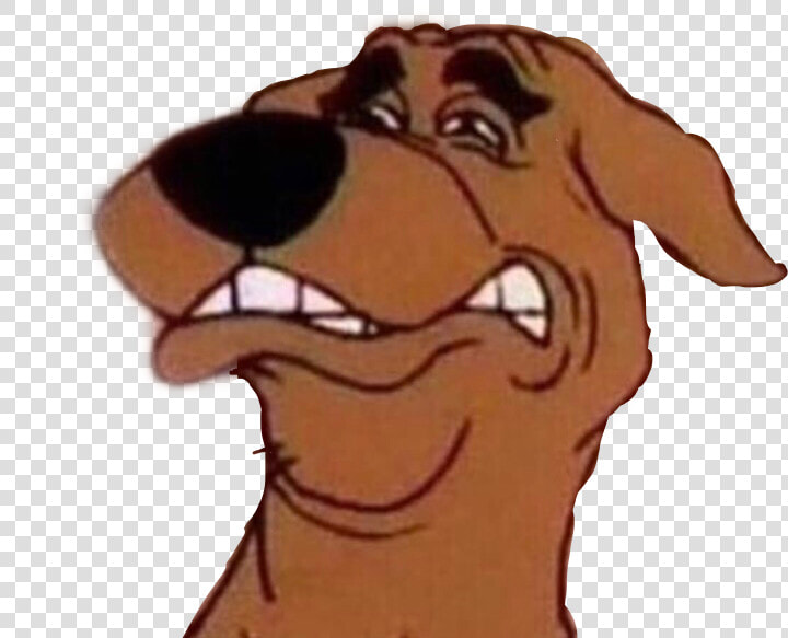  meme  memes  disgusted  disgusting  scoobydoo  scooby doo   Scooby Doo Funny Face  HD Png DownloadTransparent PNG