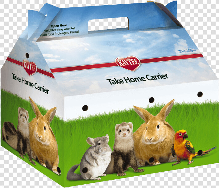 Rabbits And Hares  HD Png DownloadTransparent PNG