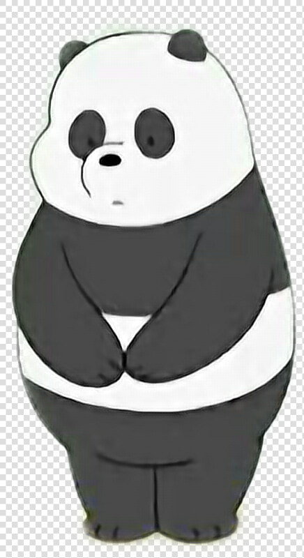  webarebears  🐻  panda  cn  cartoonnetwork  pfp  cute   Panda De Cartoon Network  HD Png DownloadTransparent PNG