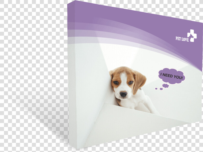 Beagle  HD Png DownloadTransparent PNG