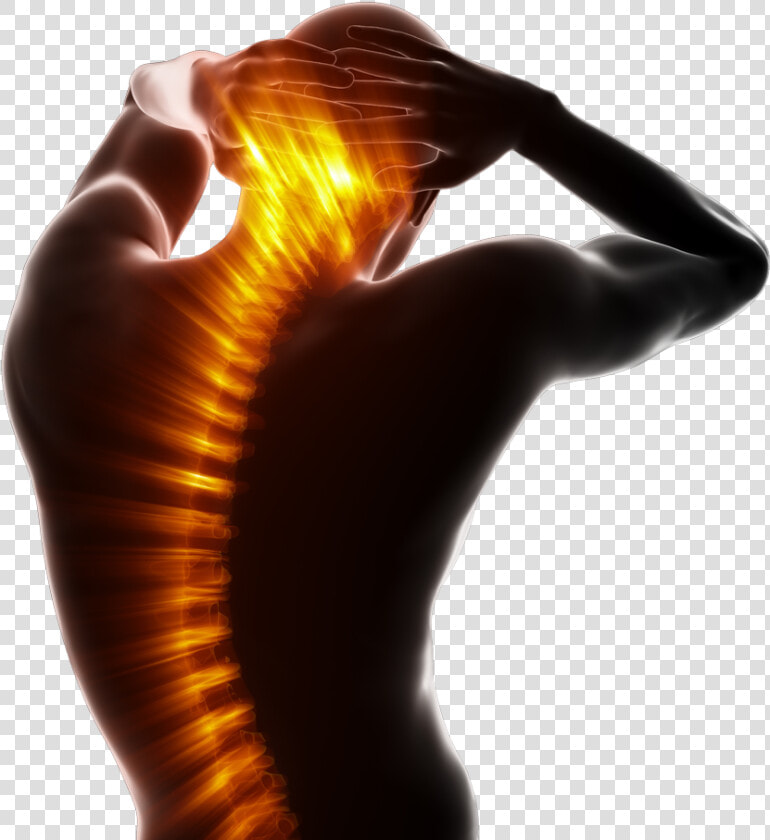 Back   Spinal Pain Png  Transparent PngTransparent PNG