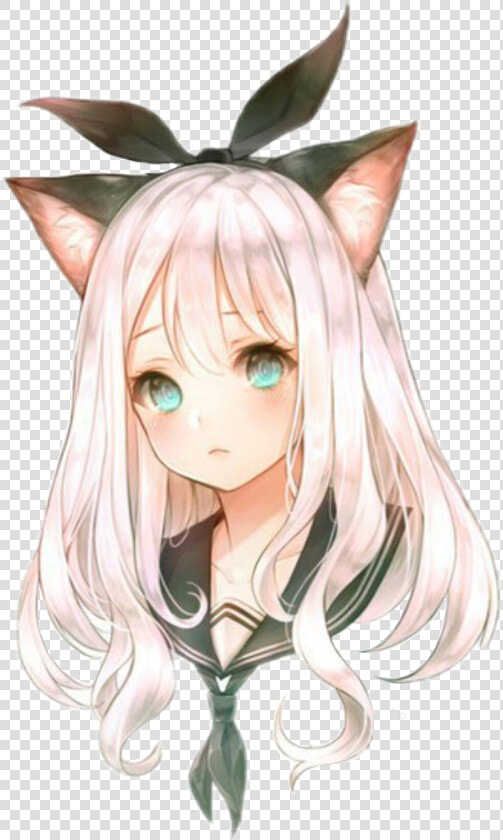  anime  chan  loli  cute  anime Girl  love  neko  ears   Anime Girl Cat  HD Png DownloadTransparent PNG