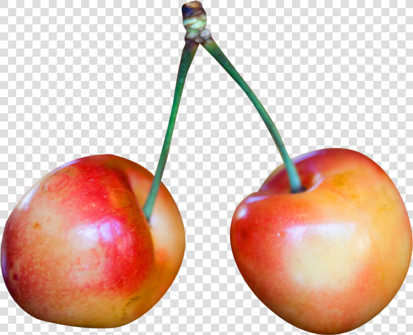 Rainier Cherries Png Image   Rainier Cherry Png  Transparent PngTransparent PNG