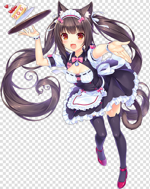 Chocola Nekopara Transparent  HD Png DownloadTransparent PNG