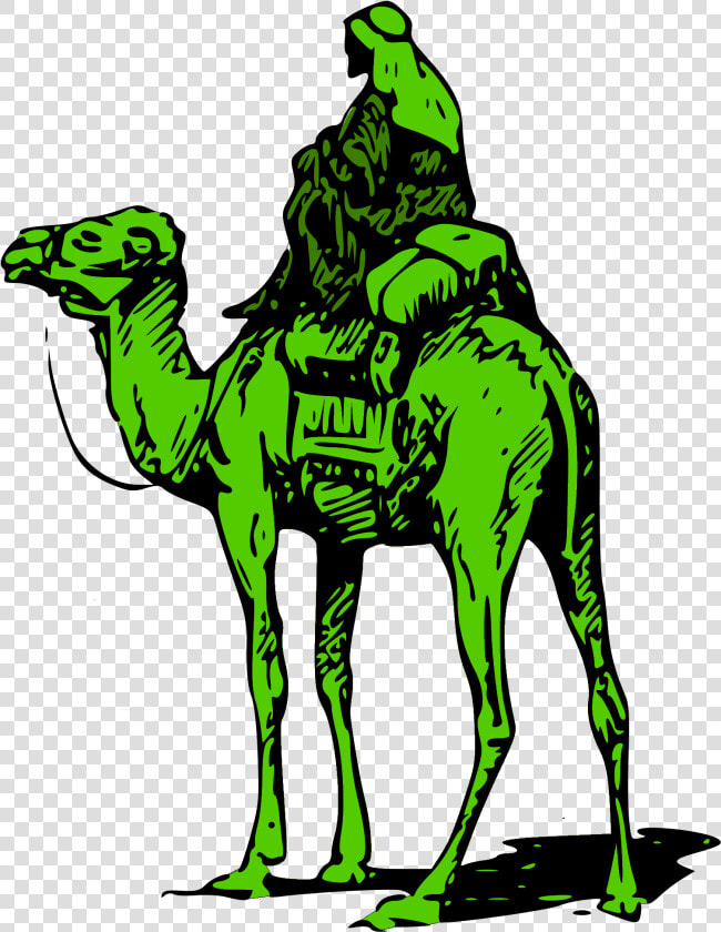 United Camel Darknet Bitcoin States Road Silk Clipart   Dark Web Silk Road Logo  HD Png DownloadTransparent PNG