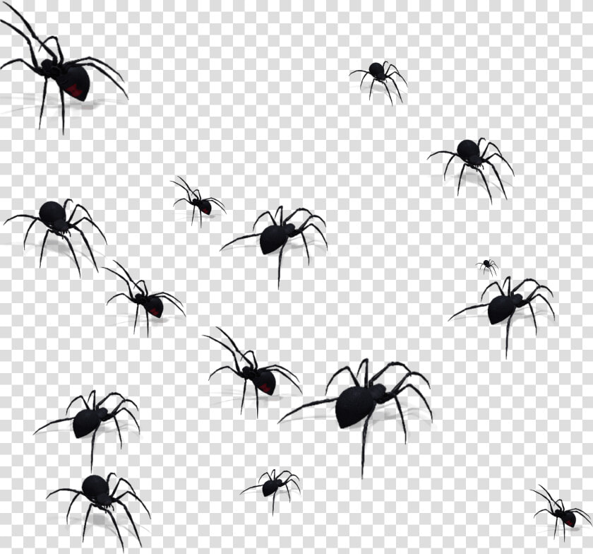 Transparent Mosquito Silhouette Png   Lots Of Spiders Png  Png DownloadTransparent PNG