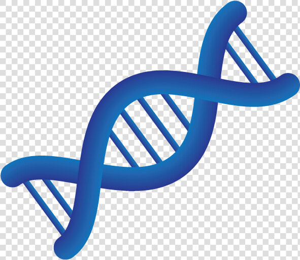 Medical Personalized Medicine Chromosome  HD Png DownloadTransparent PNG