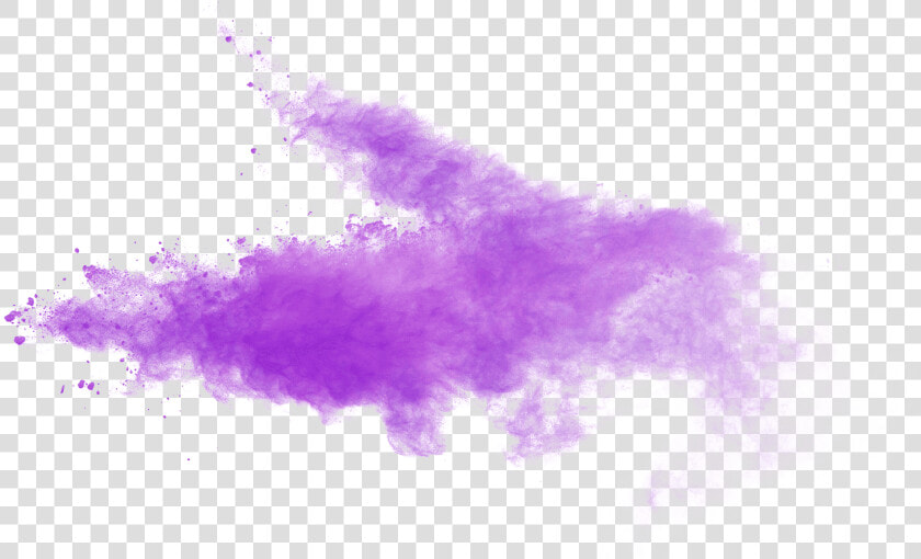 Lilac   Purple Png  Transparent PngTransparent PNG