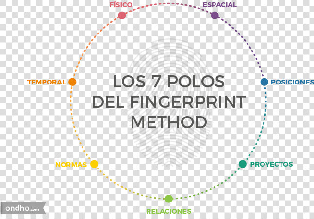 Los Siete Polos Del Fingerprint Method   Cox Enterprises  HD Png DownloadTransparent PNG