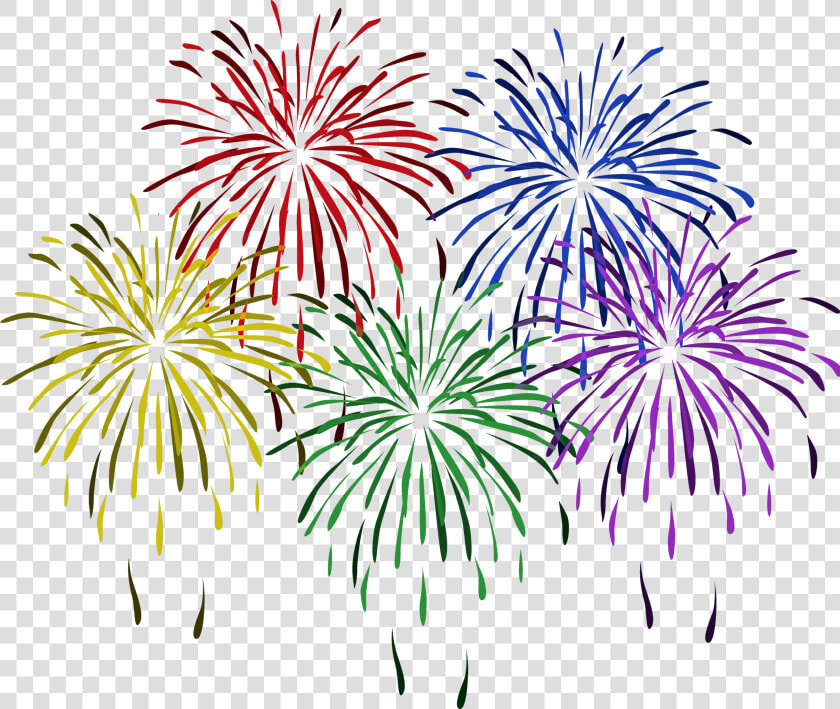 Transparent Cranberry Clipart   New Years Fireworks Clipart  HD Png DownloadTransparent PNG