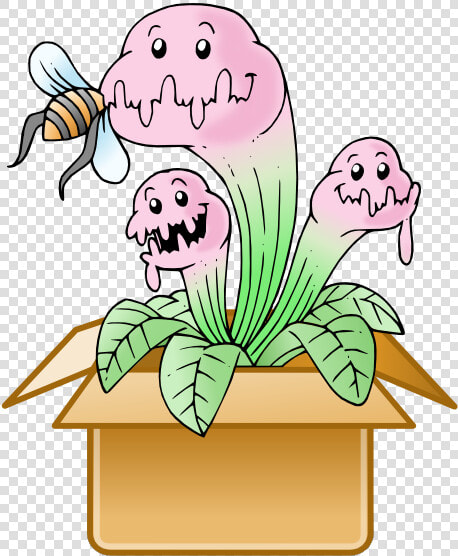 Mystery Box Title Mystery Box   Venus Fly Trap Cartoon  HD Png DownloadTransparent PNG