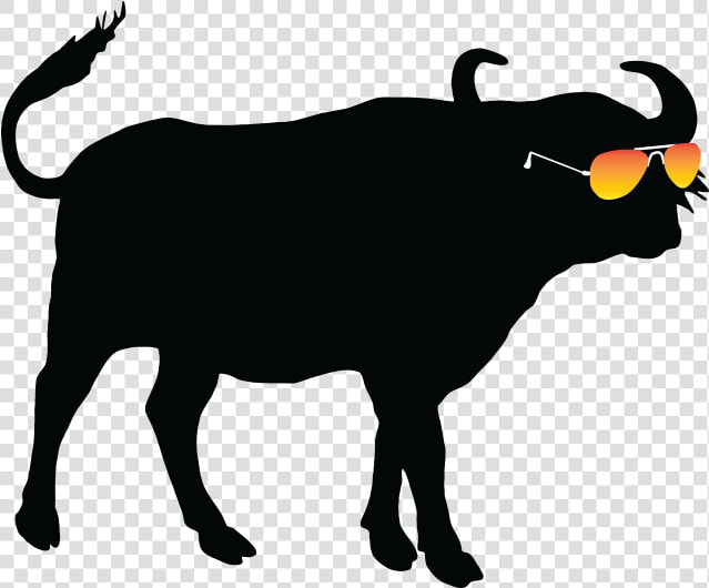 Summer Buffalo Summer Buffalo   Buffalo Silhouette  HD Png DownloadTransparent PNG