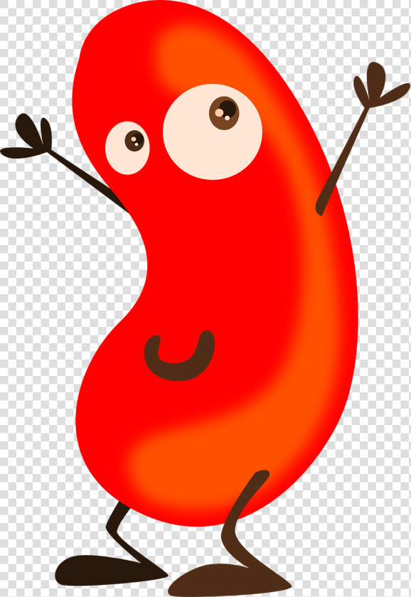 Clip Art Kidney Beans Clip Art   Clip Art Bean  HD Png DownloadTransparent PNG