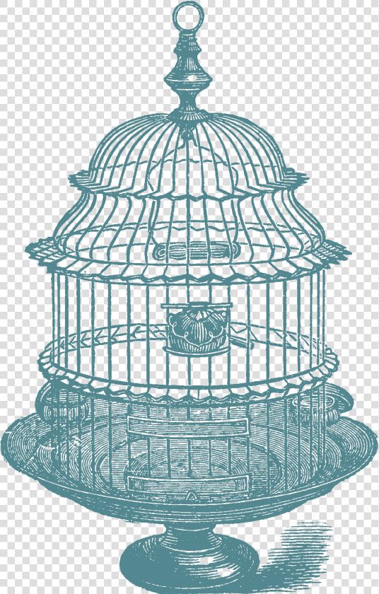 Download Above Set Of Bird Cage Stock Images   Vintage Bird Cage Black And White  HD Png DownloadTransparent PNG