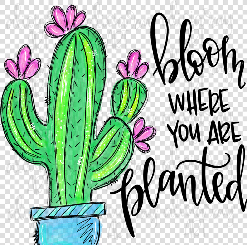 Bloom Where You Re Planted   Bloom Where Youre Planted Cactus  HD Png DownloadTransparent PNG