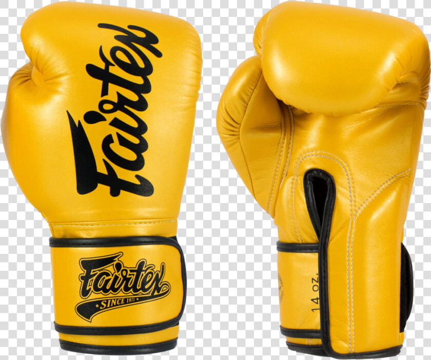 Fairtex Bgv18 Super Sparring Gloves   Fairtex  HD Png DownloadTransparent PNG