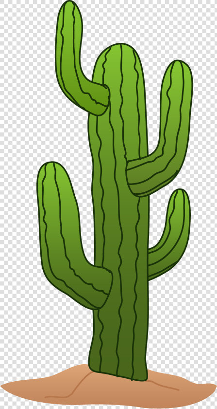 Cactus Clipart Design   Cactus Clip Art  HD Png DownloadTransparent PNG