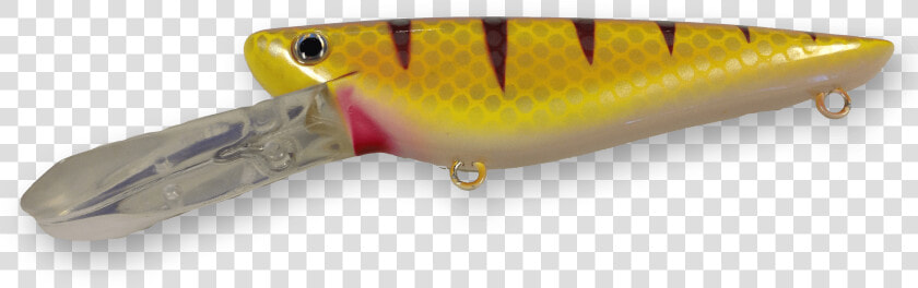 Walleye   Png Download   Trout  Transparent PngTransparent PNG