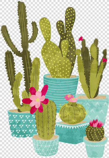  png  edit  freetoedit  tumblr  overlay  cactus   Cactus Vector Free  Transparent PngTransparent PNG