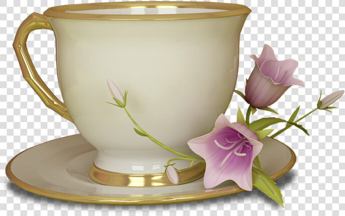 Green Tea Cupcake Teacup Clip Art   Tea Cup No Background  HD Png DownloadTransparent PNG