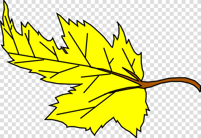 Leaf  Maple  Yellow  Fall  Autumn  Nature  Season  HD Png DownloadTransparent PNG