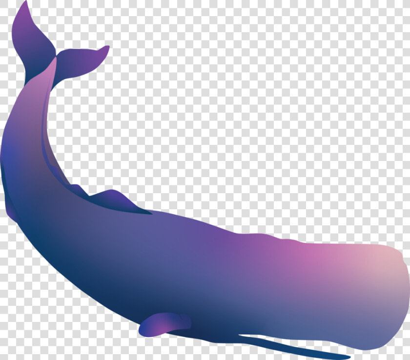 Sperm Whale   Whale  HD Png DownloadTransparent PNG